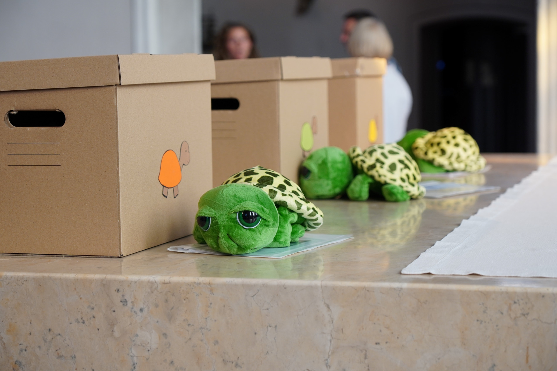 Grüne Plüschschildkröten liegen neben den vorbereiteten Klassenboxen auf dem Altar.